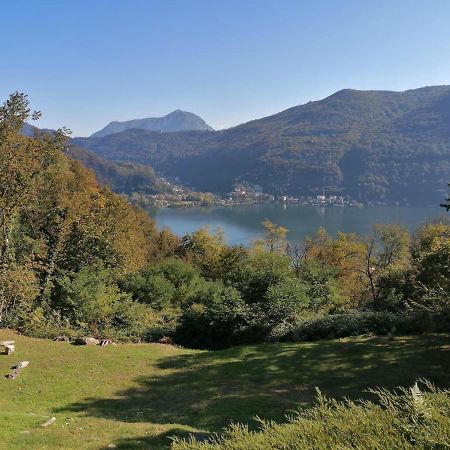 La Finestra Sul Lago Brusimpiano Εξωτερικό φωτογραφία