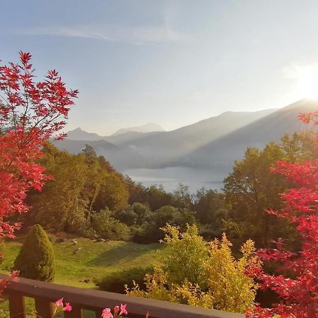 La Finestra Sul Lago Brusimpiano Εξωτερικό φωτογραφία