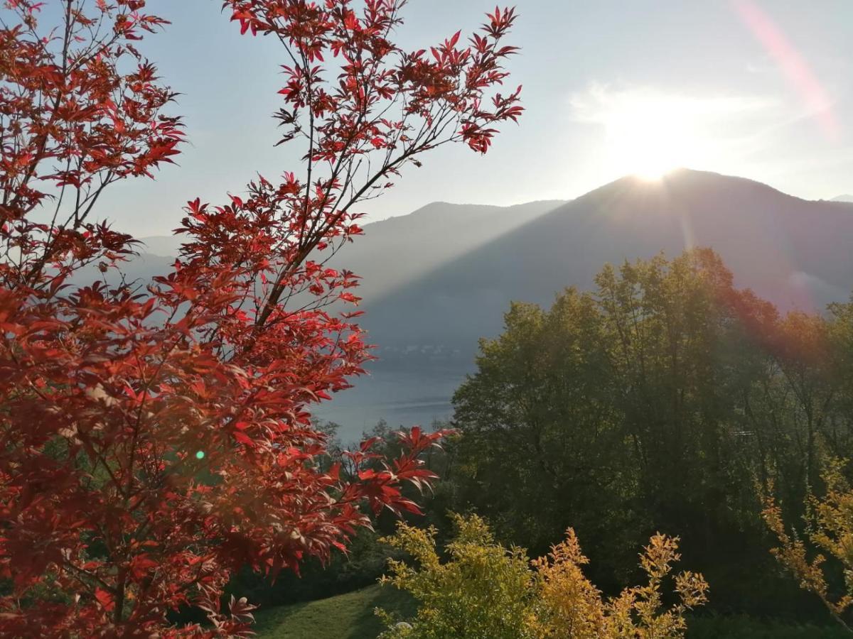 La Finestra Sul Lago Brusimpiano Εξωτερικό φωτογραφία