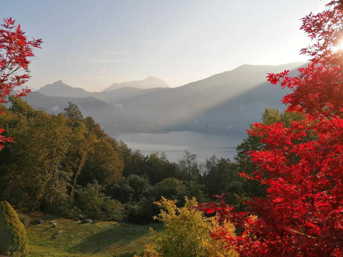 La Finestra Sul Lago Brusimpiano Εξωτερικό φωτογραφία