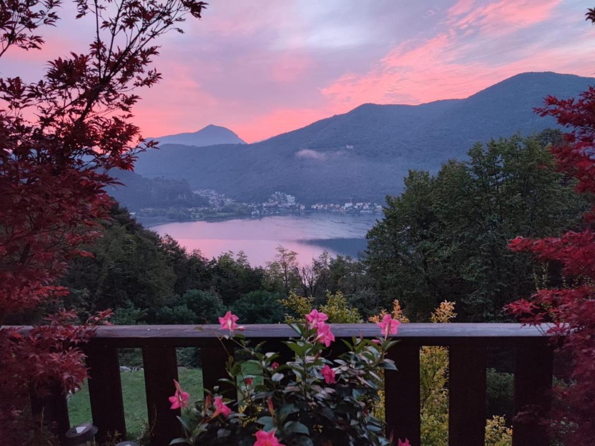 La Finestra Sul Lago Brusimpiano Εξωτερικό φωτογραφία