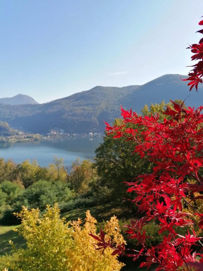 La Finestra Sul Lago Brusimpiano Εξωτερικό φωτογραφία