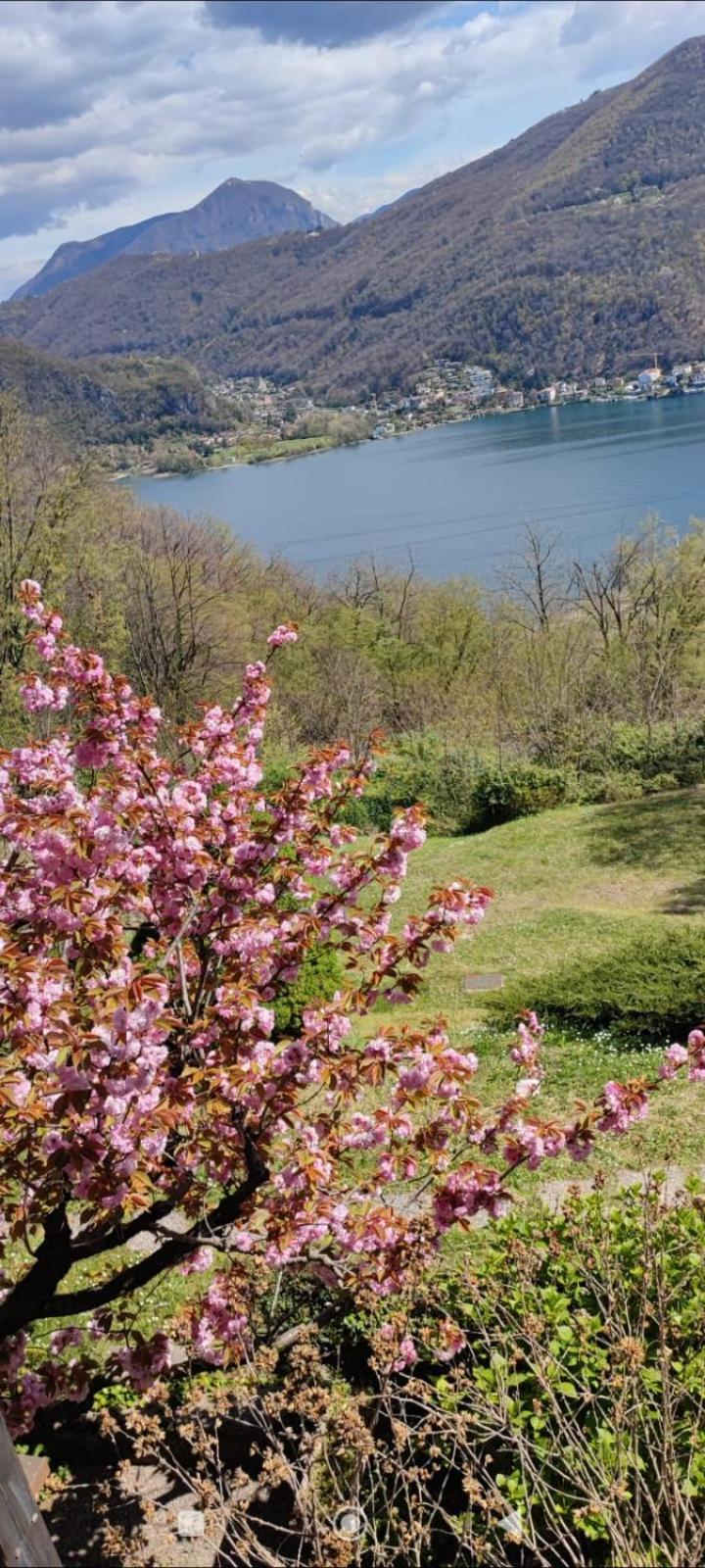 La Finestra Sul Lago Brusimpiano Εξωτερικό φωτογραφία